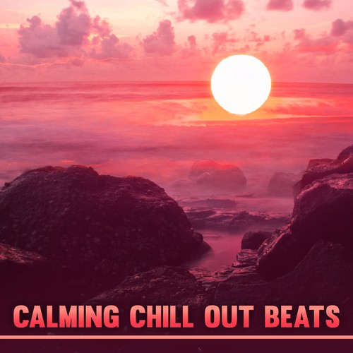 Finest Chill cover art