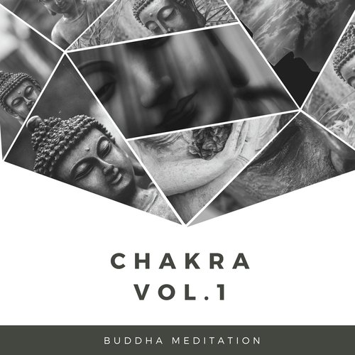 Chakra, Vol. 1_poster_image