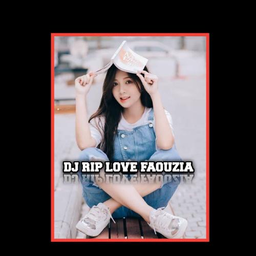 DJ RIP Love Fauzia cover art