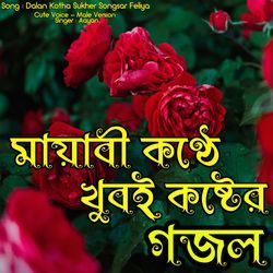 Dalan Kotha Sukher Songsar Feliya - Cute Voice - Male Version