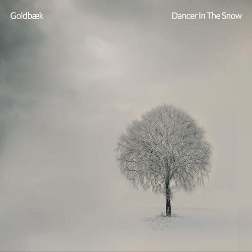 Dancer in the Snow cover art