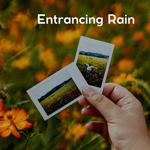 The Reign of Rain, Pt. 15