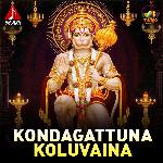 Kondagattuna Koluvaina