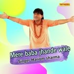 Mere baba jhande wale