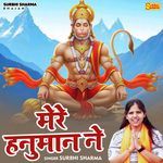 Mere Hanuman Ne