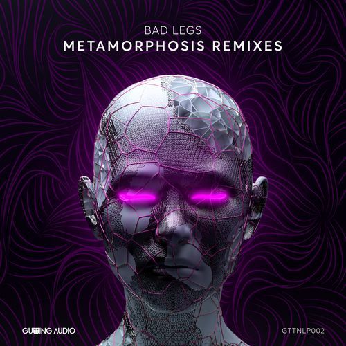 Metamorphosis (Hackwaves Remix) cover art