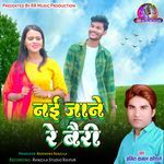 Nai Jane Re Bairi