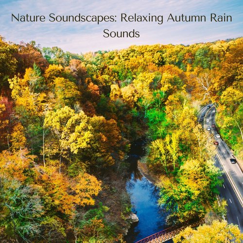 Natural Rain Sounds cover art