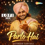 Parlo Hai LOFI MIX