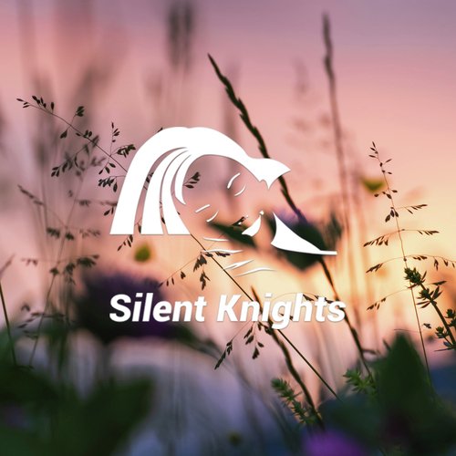 Shhh Calm Drips cover art