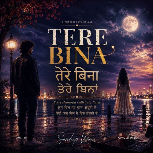 Tere Bina