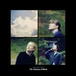 The Absence of Birds