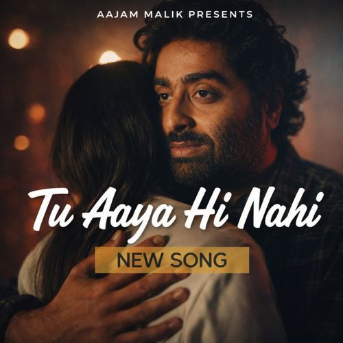 Tu Aaya Hi Nahi