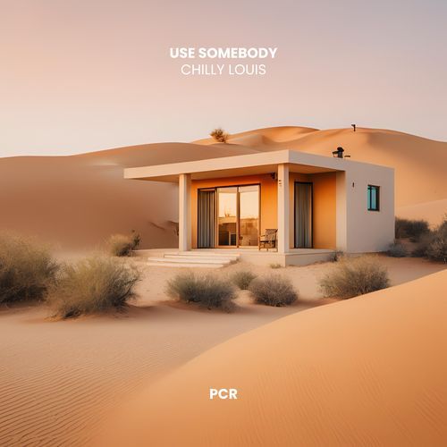 Use Somebody (Afro House)