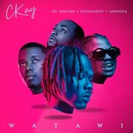 WATAWI (feat. Davido, Focalistic &amp; Abidoza)