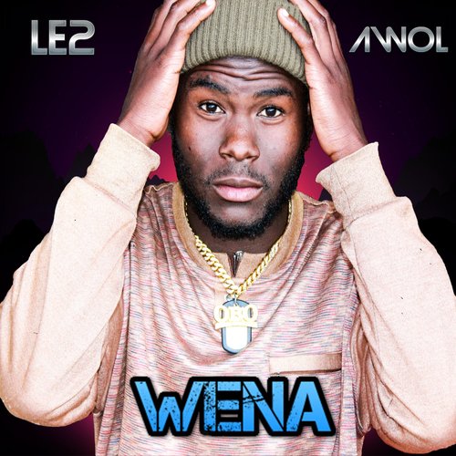 Wena (feat. AWOL)_poster_image