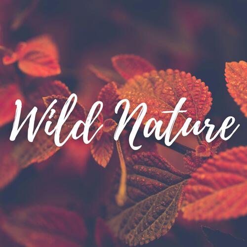 Wild Nature cover art