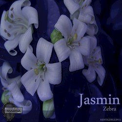  Jasmin