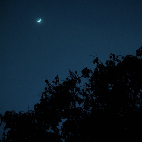 emptiness cover art