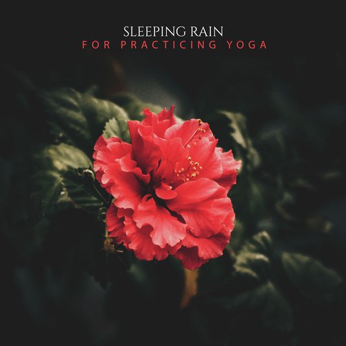 19 Sleeping Rain Album for Practicing Yoga_poster_image