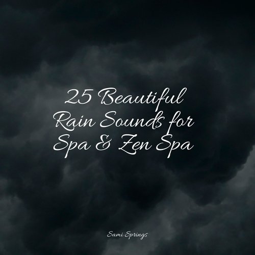 25 Beautiful Rain Sounds for Spa &amp; Zen Spa_poster_image