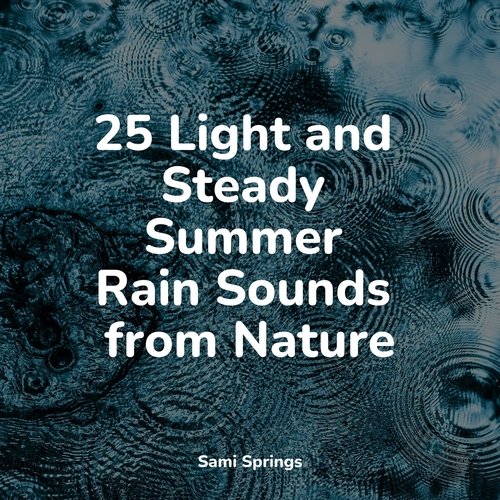 25 Light and Steady Summer Rain Sounds from Nature
