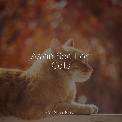 Asian Spa For Cats