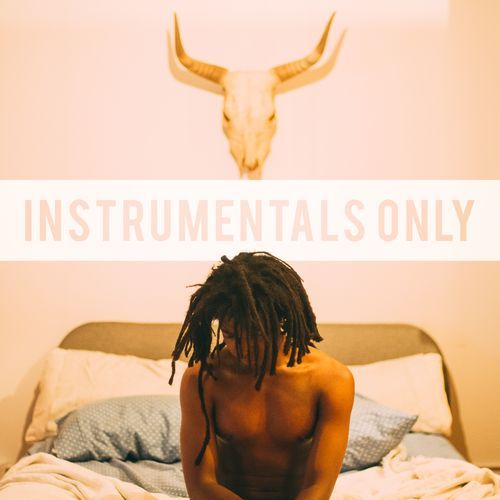 Ronnie (Instrumental) cover art