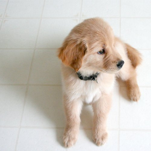 Best Recordings for Spa and Meditation