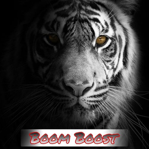 Boom Boost_poster_image