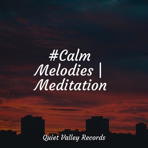 #Calm Melodies | Meditation
