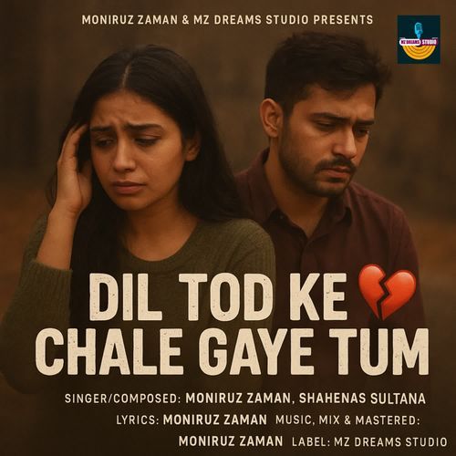 Dil Tod Ke Chale Gaye Tum