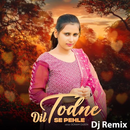 Dil Todne Se Phele (Dj Remix)