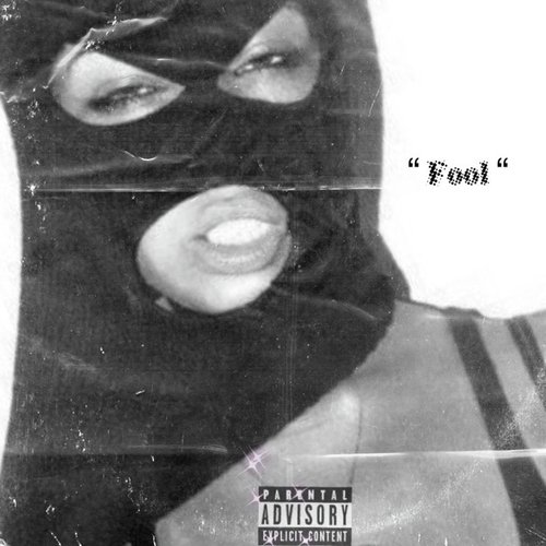 Fool_poster_image