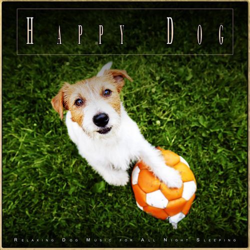 Dog Music Experience cover art
