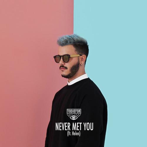 Never Met You_poster_image