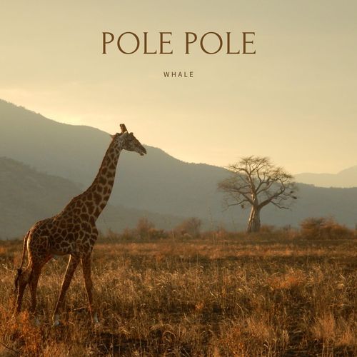 Pole Pole