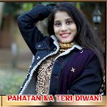 Pahatan Ka Teri Divani