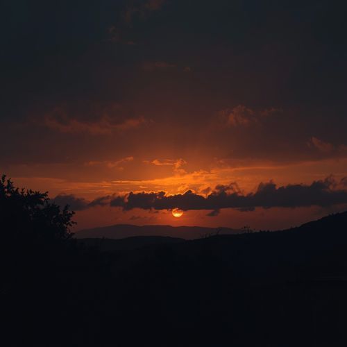 Sayfalse cover art