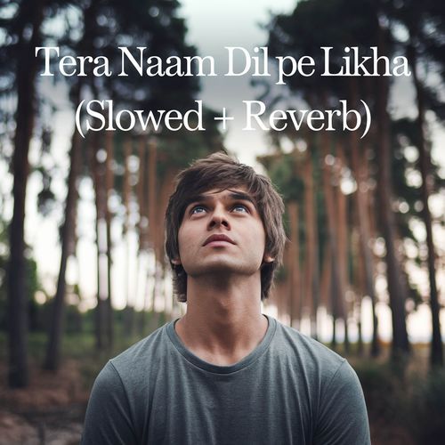 Tera Naam Dil Pe Likha (Slowed + Reverb)