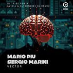 Vector (DJ Tribe remix)