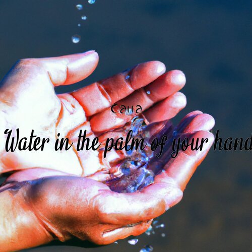 Water in the Palm of Your Hand_poster_image