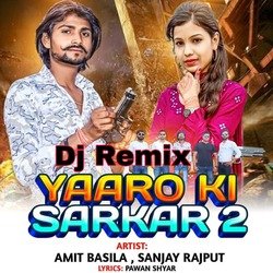 Yaaro ki sarkar 2 dj remix-ARIsQERSUGk