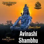Avinashi Shambhu Slowed & Reverb artwork