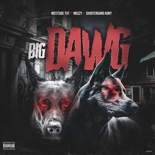 Big Dawg_poster_image