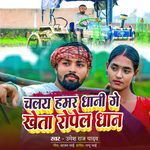 Chalay Hamar Dhani Ge Kheta Ropel Dhan