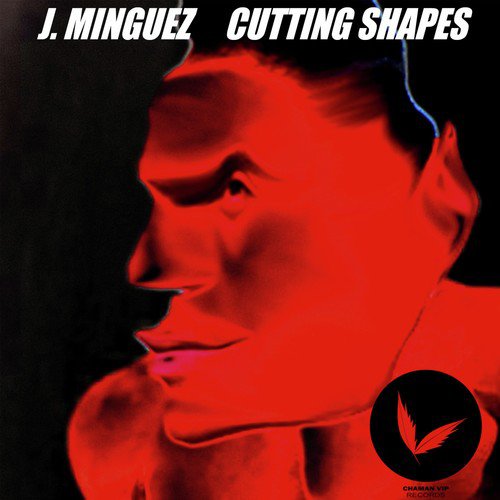 Cutting Shapes