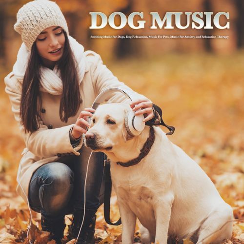 The Best Music for Man's Best Friend