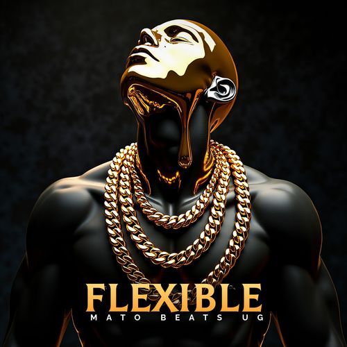 Flexible cover art