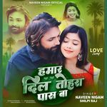 Hamar Dil Tohara Pass Ba